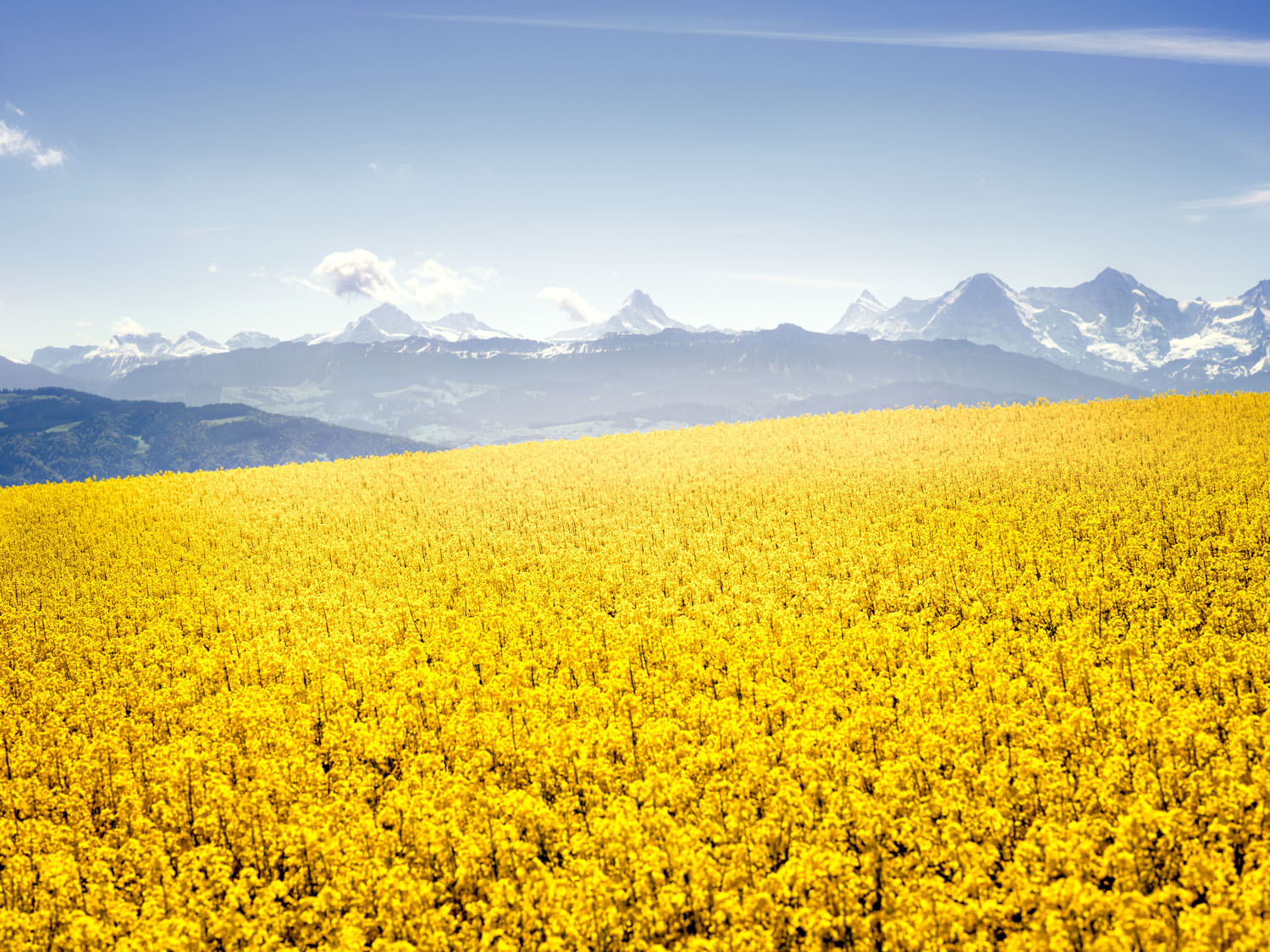 Missions et objectifs