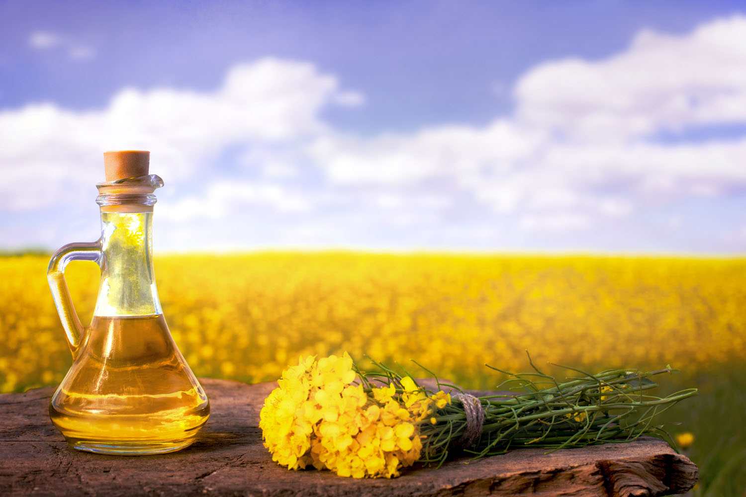 20.1.21 – L’huile de colza indigène fait partie des meilleures huiles de Suisse