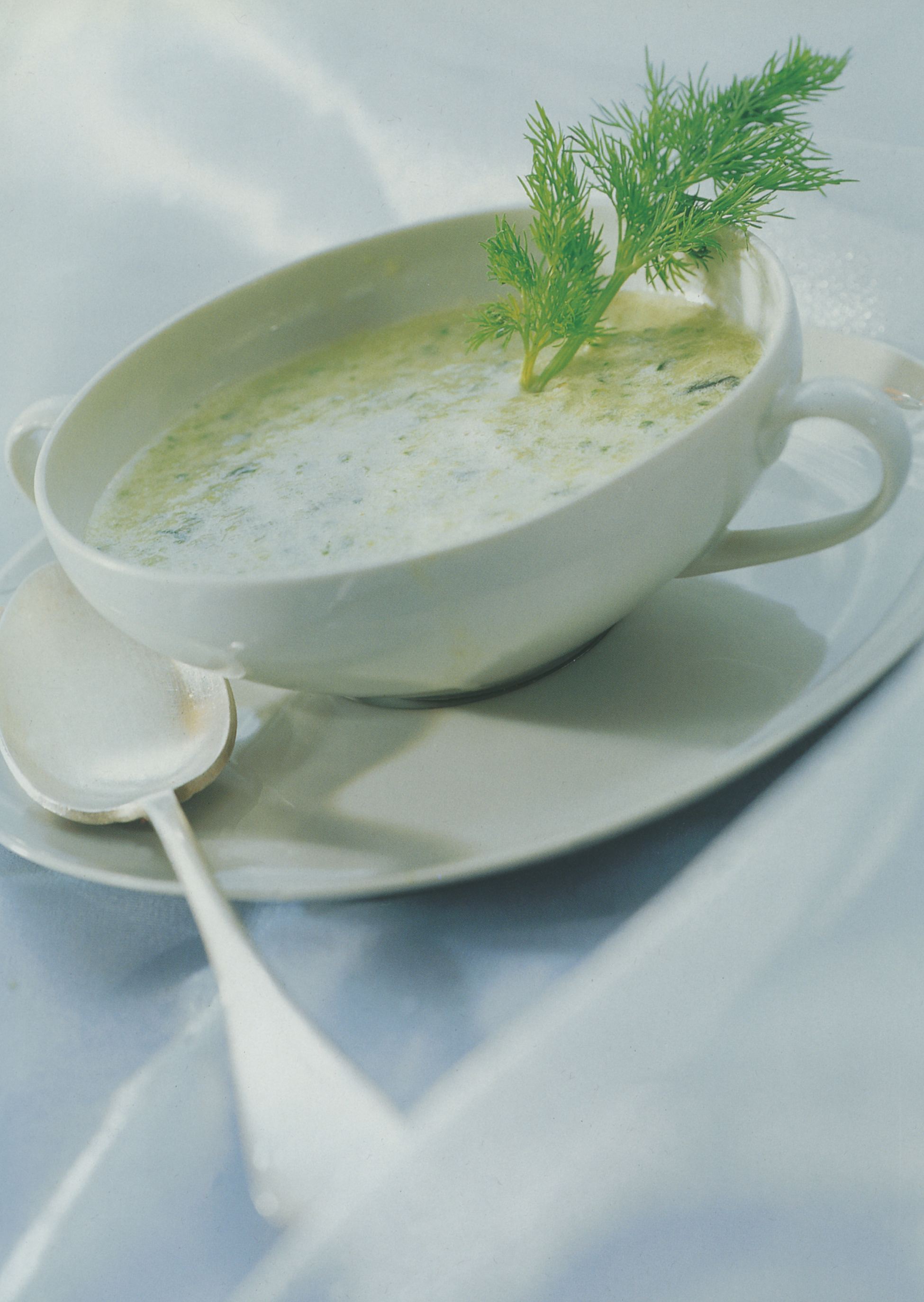 Crème de courgettes au basilic