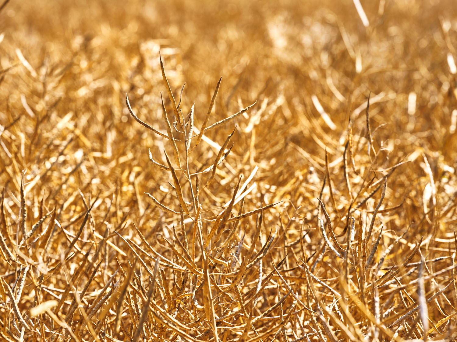 Un exemple de durabilité